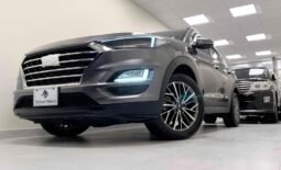 
										2022 HYUNDAI TUCSON 2.0 AWD full									