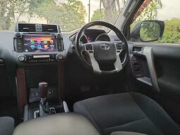 
										2014 TOYOTA PRADO TZ 4.0 PETROL full									