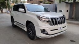 
										2014 TOYOTA PRADO TZ 4.0 PETROL full									