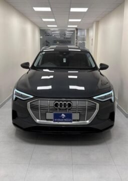
										2022 AUDI E-TRON  50 QUATTRO full									