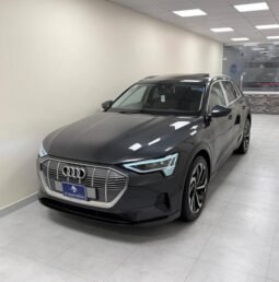 
										2022 AUDI E-TRON  50 QUATTRO full									