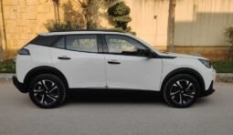 
										PEUGEOT 2008 ALLURE PACKAGE full									
