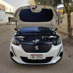 
										PEUGEOT 2008 ALLURE PACKAGE full									